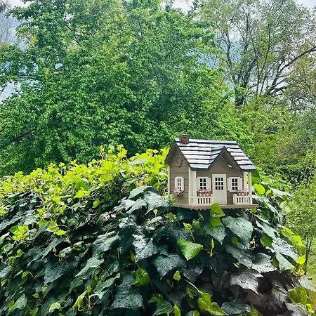 Cozy Private Home, 1 Acre Orchards Near Apple Hill Placerville Exterior foto
