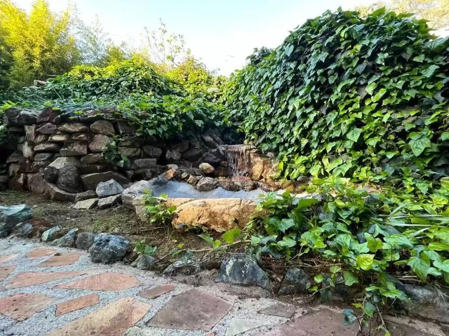 Cozy Private Home, 1 Acre Orchards Near Apple Hill Placerville Exterior foto