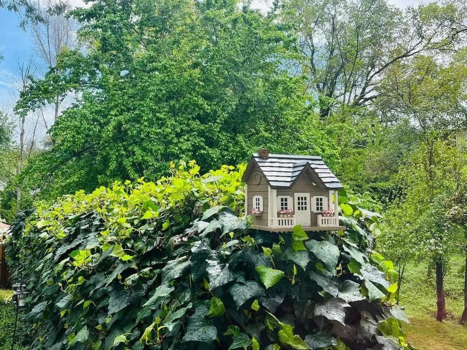 Cozy Private Home, 1 Acre Orchards Near Apple Hill Placerville Exterior foto